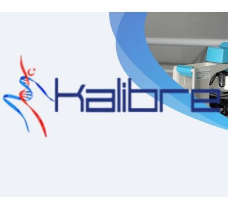Kalibre 1